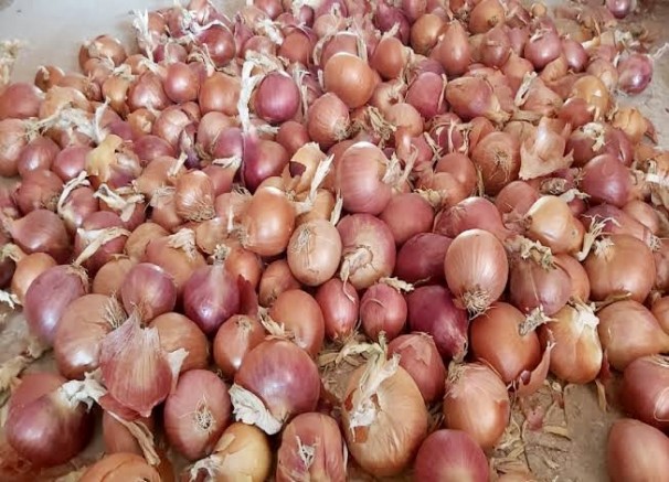 Deprem pazarı vurdu 1 kilo soğan 20 lira!